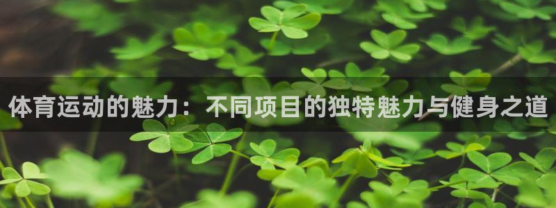 MK体育官方正版app集团logo：体育运动的魅力：