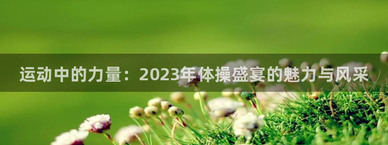 MK体育官网下载招商电话号码查询是多少：运动中的力量