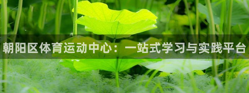 MK体育官方正版app集团E.ON：朝阳区体育运动中
