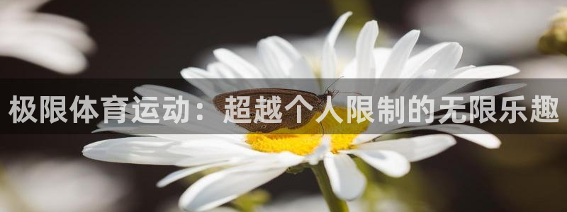 MK体育官方正版app集团简介：极限体育运动：超越个