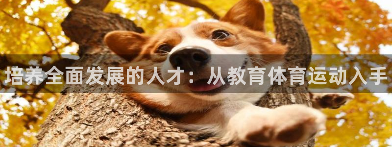 MK体育官网下载软件：培养全面发展的人才：从教育体育