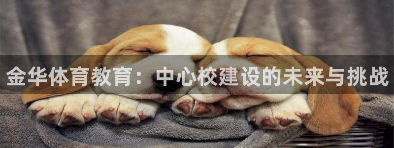 MK体育官网下载平台注册流程视频：金华体育教育：中心校建设的