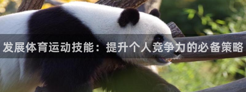 MK体育官方集团官网：发展体育运动技能：提升个人竞争