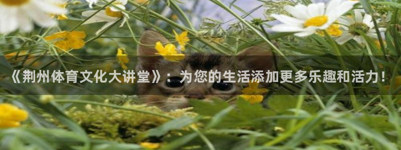 MK体育官网下载平台注册要钱吗：《荆州体育文化大讲堂》：为您