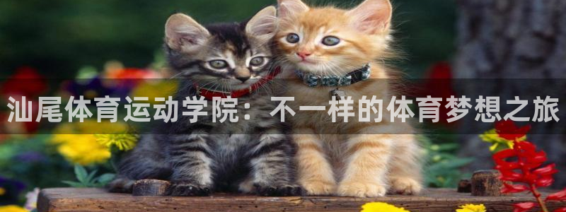 MK体育官网下载招商电话号码查询是多少：汕尾体育运动
