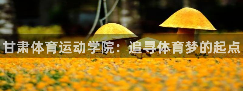 海南MK体育官网下载发展怎么样：甘肃体育运动学院：追