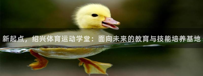 MK体育官网下载平台注册流程视频：新起点，绍兴体育运动学堂：