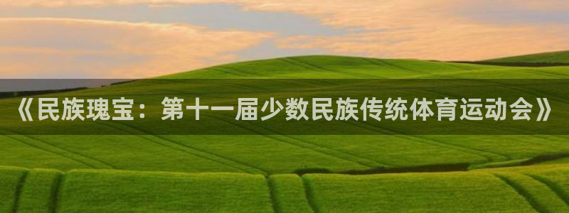 注册MK体育官方正版app：《民族瑰宝：第十一届少数