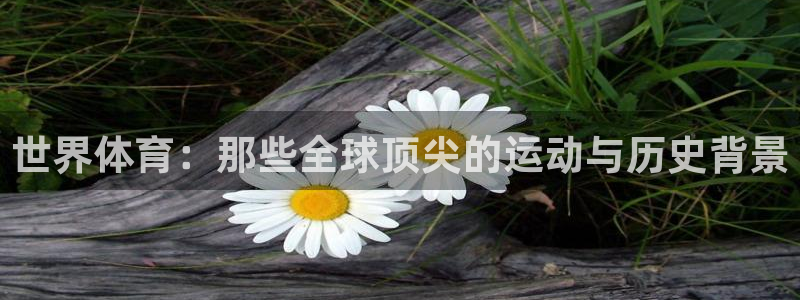 MK体育官方正版app集团简介：世界体育：那些全球顶