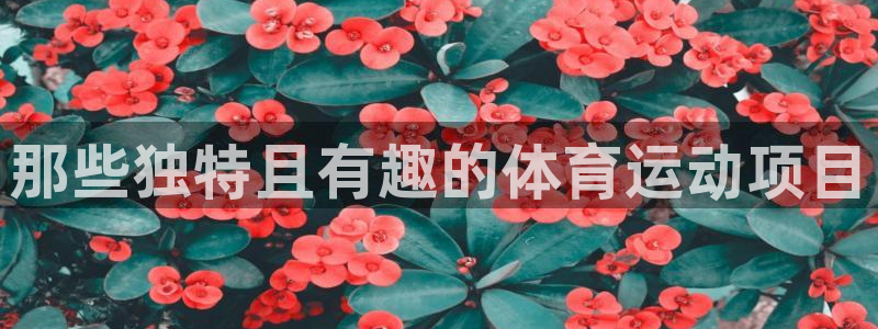 MK体育官网下载软件：那些独特且有趣的体育运动项目