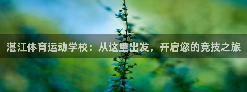MK体育官方正版app代理：湛江体育运动学校：从这里