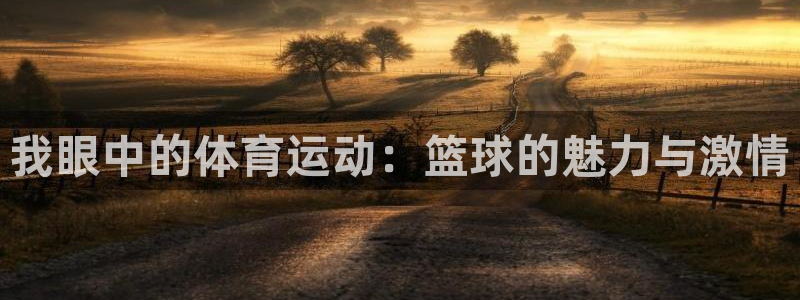 MK体育官网下载招商电话是多少：我眼中的体育运动：篮