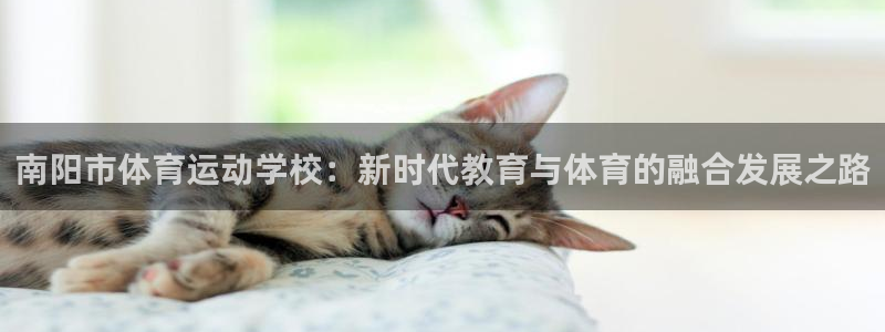 MK体育官方正版app集团官网首页网址