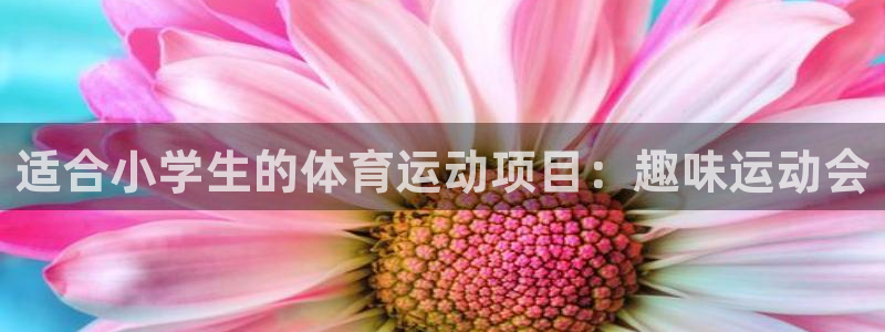 MK体育官方集团官网