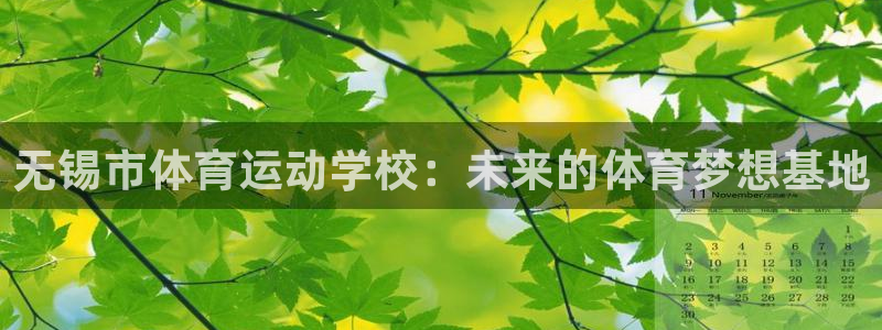 MK体育官方正版app集团：无锡市体育运动学校：未来
