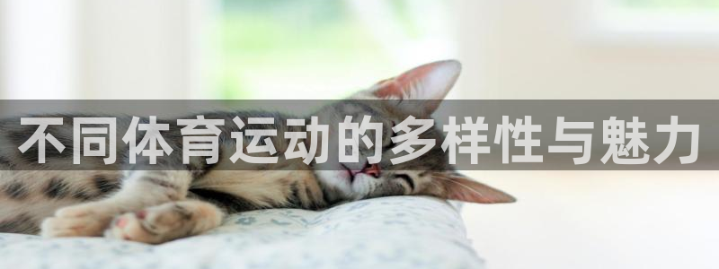 MK体育官网下载平台是正规平台吗知乎：不同体育运动的多样性与