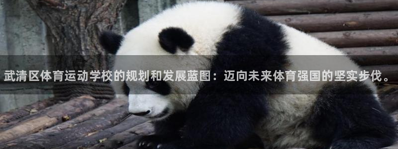 海南MK体育官网下载