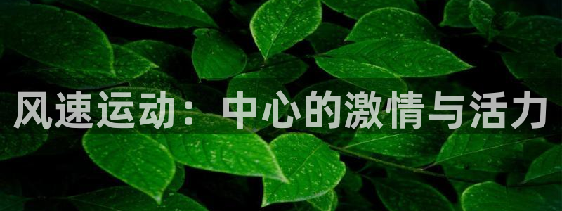 MK体育官网下载招商电话是多少啊：风速运动：中心的激