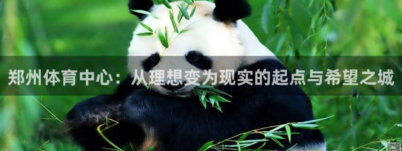 MK体育官方正版app集团E.ON