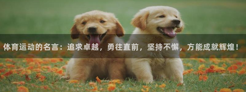 MK体育官方正版app集团官网首页网址：体育运动的名