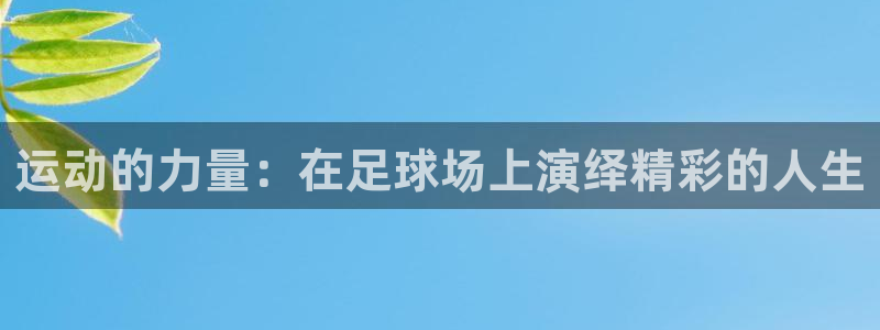 MK体育官方正版app娱乐首页网站大全：运动的力量：在足球场