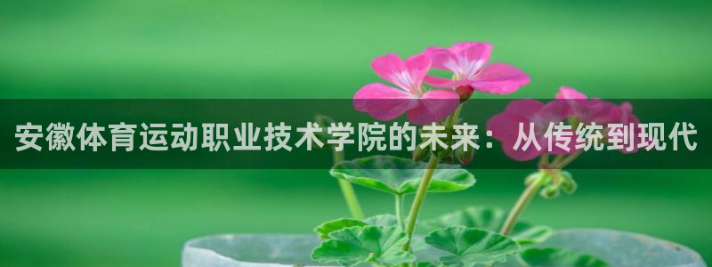 MK体育官网下载平台假的吗是真的吗吗：安徽体育运动职业技术学