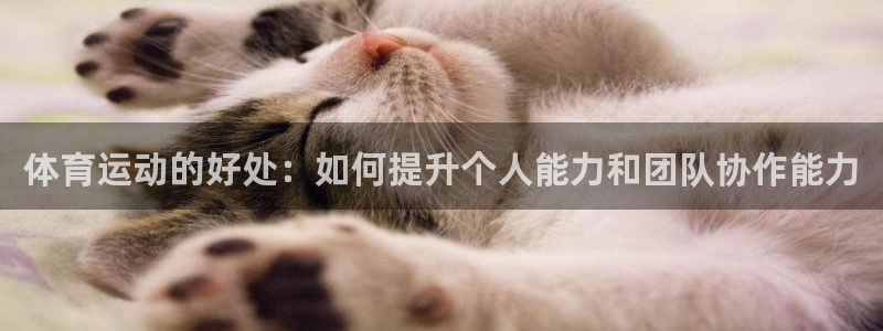 MK体育官网下载平台假的吗是真的吗吗