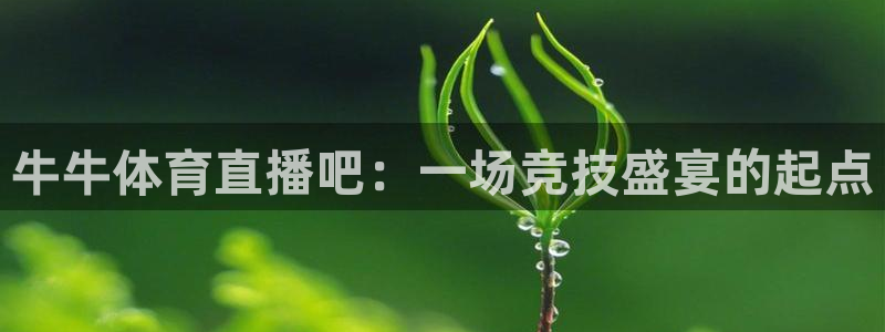 火凤体育直播高清入口：牛牛体育直播吧：一场竞技盛宴的起点