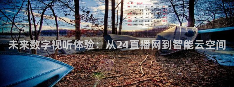 火凤直播体育足球：未来数字视听体验：从24直播网到智能云空间