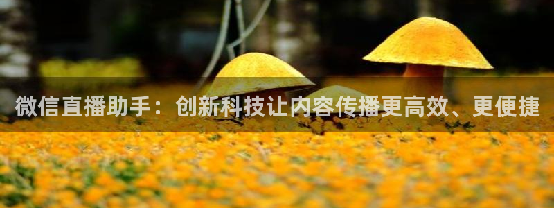 火凤足球直播：微信直播助手：创新科技让内容传播更高效、更便捷