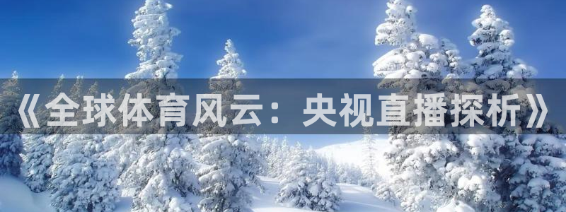 火凤足球直播：《全球体育风云：央视直播探析》