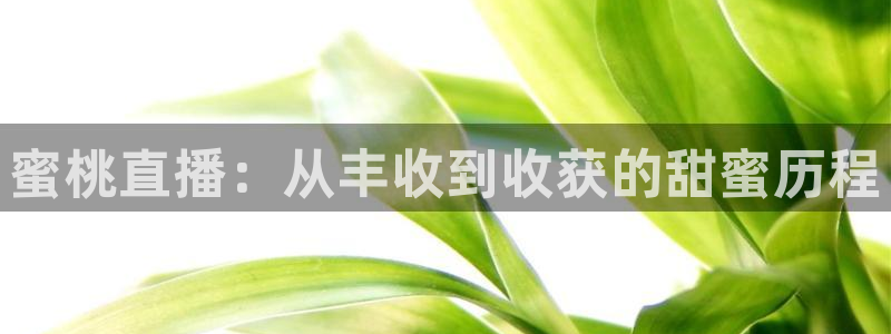 火凤体育直播高清入口：蜜桃直播：从丰收到收获的甜蜜历程