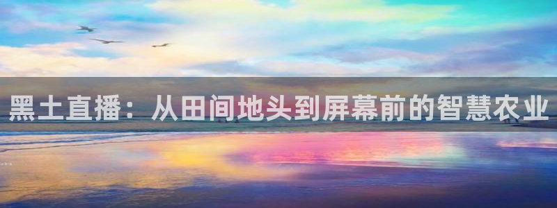 火凤体育直播高清入口：黑土直播：从田间地头到屏幕前的智慧农业